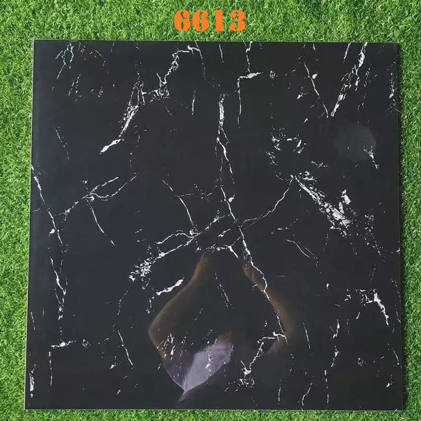 6613