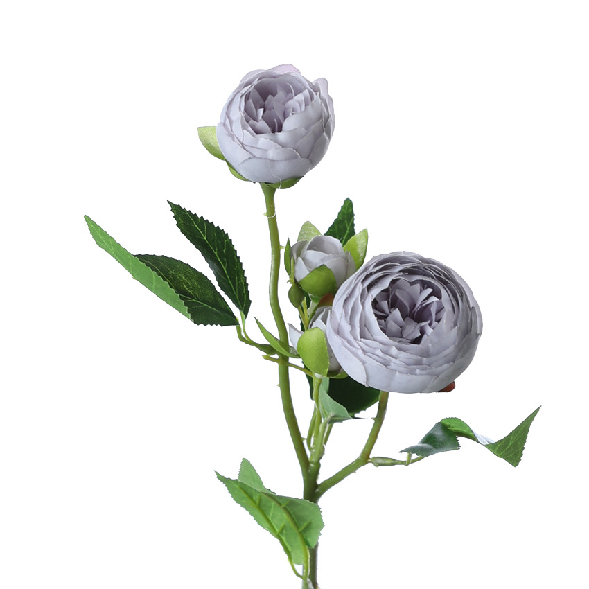 สีม่วงควันบุหรี่