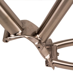 เฟรมจักรยานพิเนียนไทเทเนี่ยม CX สำหรับระบบเกียร์ Pinion P1.18 - Product Image 3