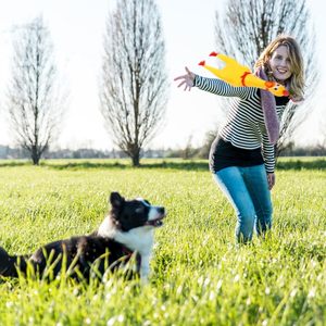 Squeaky kauçuk tavuk oyuncaklar şaka yenilik oyuncak şaka gürültü MakerPet çiğnemek hediyeler için çığlık köpek oyuncaklar