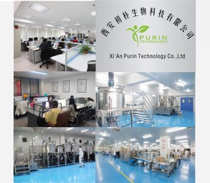 可可碱10% 20% 98% 可可提取物10:1直接交货 - Product Image 5