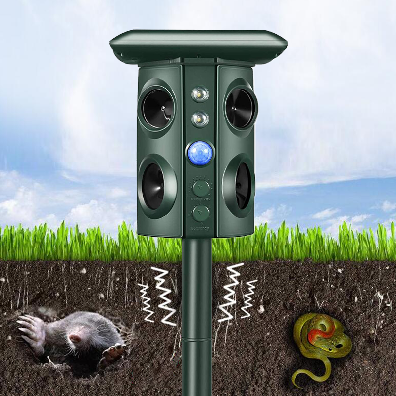 669