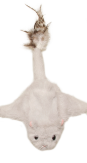 Blanco leche