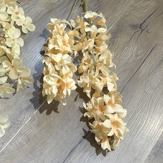 2 fork hyacinth champagne