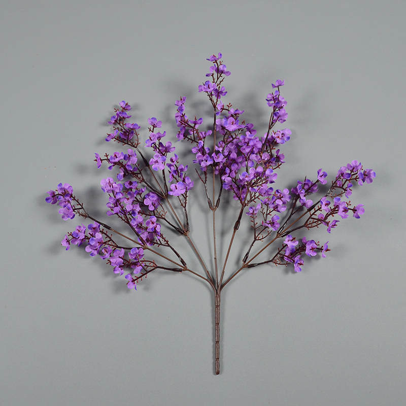 Pourpre