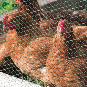 <strong>Hexagonal</strong> Chain Link Chicken and <strong>Rabbit</strong> <strong>Netting</strong> for Cages Custom Cutting Processing Available - Product Image 4