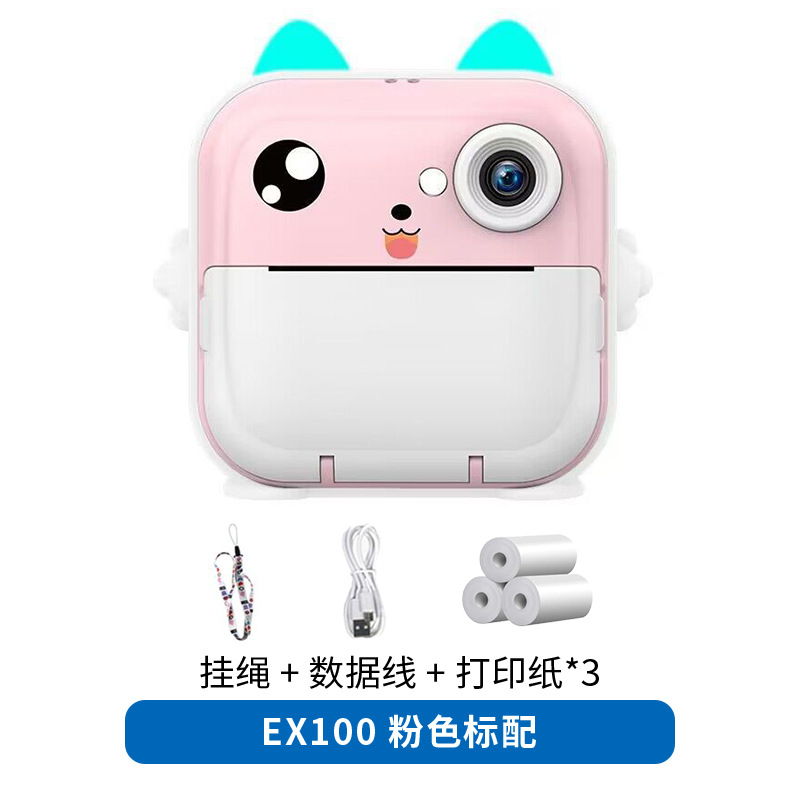 Ex100 pink standard config