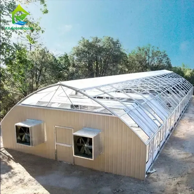 Túnel agrícola totalmente automatizado, invernadero de deposición de luz, un solo rango, opaco