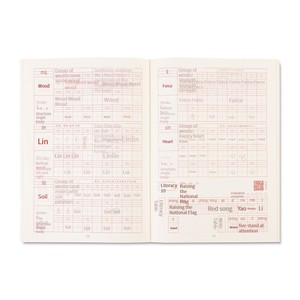 Deli 75312 Tracing Red <strong>Book</strong> <strong>Script</strong> Primary School Students' Character Sticker Upper and Lower Volumes Copying Practice Word <strong>Book</strong> - Product Image 5