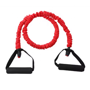 Resistance Bands With <strong>Handle</strong> &amp; Door Buckle <strong>Elastic</strong> Yoga Exercise Band High Quality Resistence Bands Tubes Latex - Product Image 1