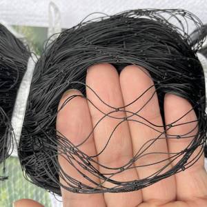 Versterkte Hdpe Geknoopte Anti-Vogelnet-100% Polyethyleen Voor Langdurig Gebruik - Product Image 2