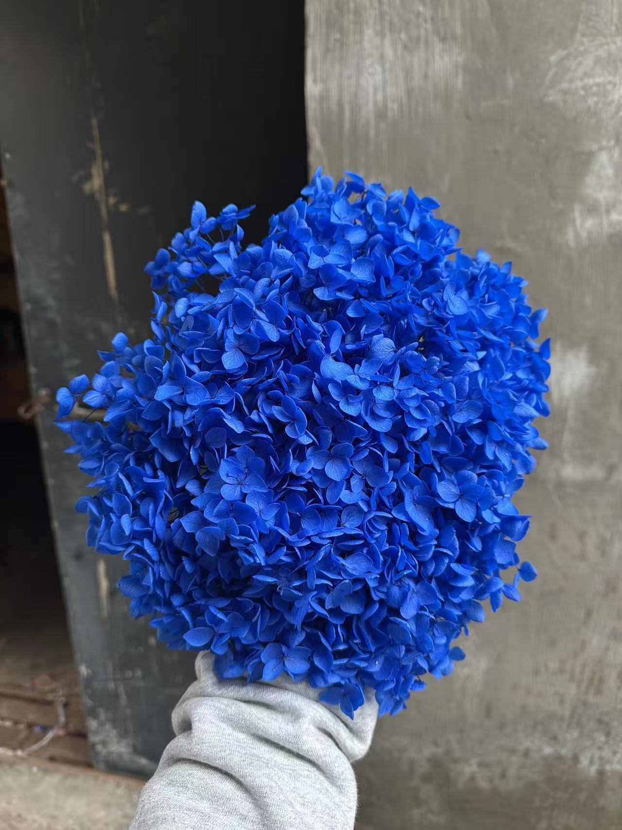 Bleu royal