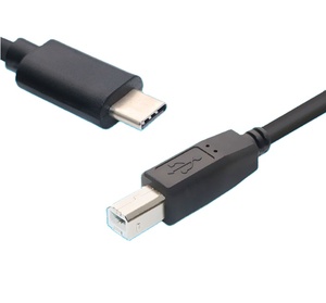 Cavo 2.0 USB tipo C a B cavi dati tipo c - Product Image 2