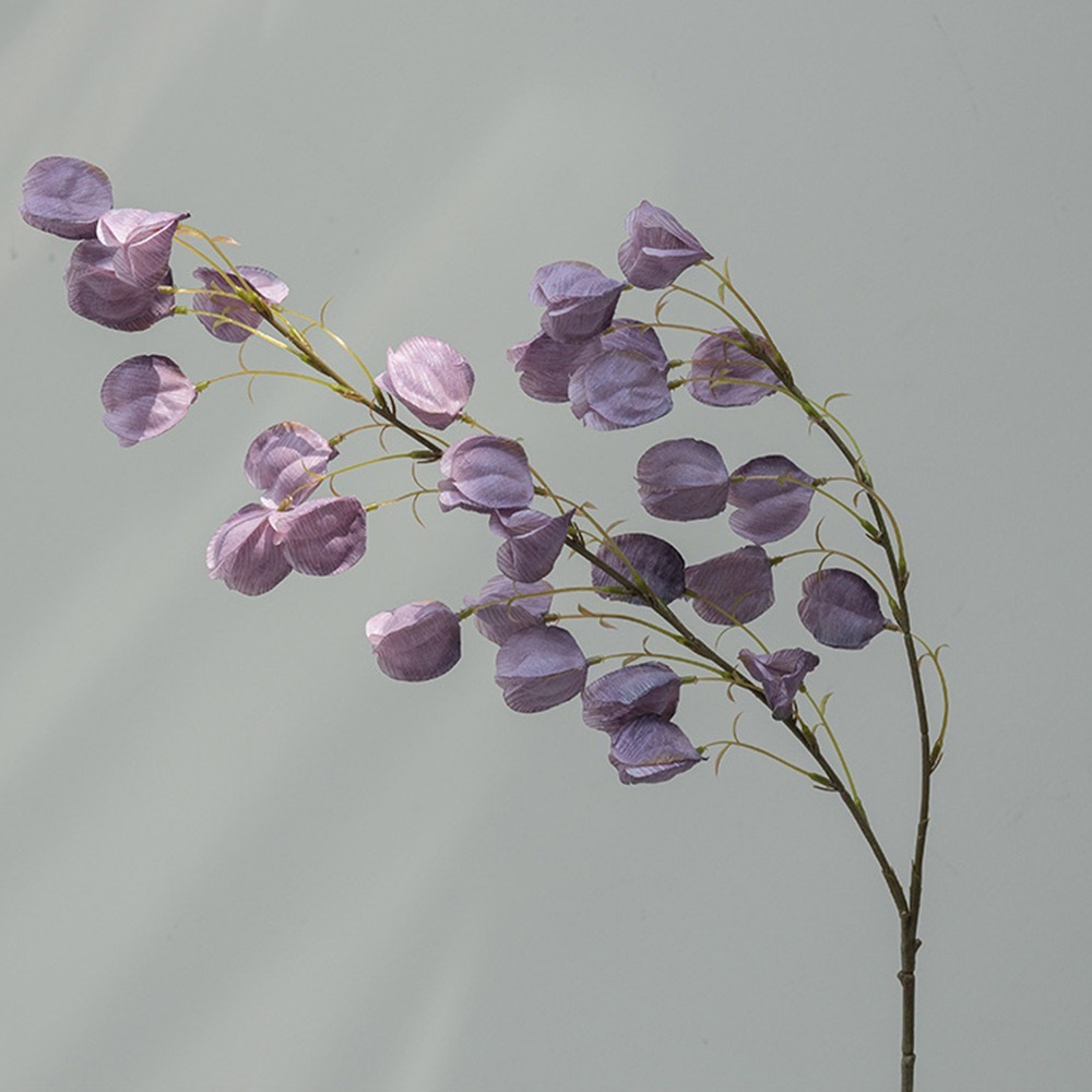 สีม่วง