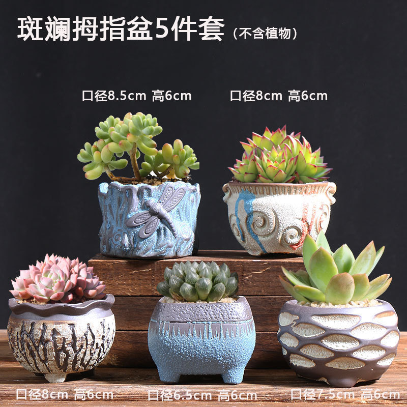 5-piece set of colorful thumb basins