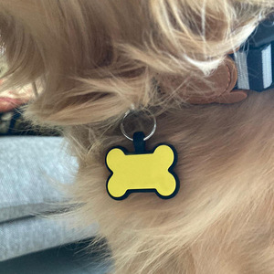 Đồ trang sức thời trang vòng đeo tay bán buôn S ID xương tên nơi cá nhân Puppy thẻ tùy chỉnh <span class=keywords><strong>Dog</strong></span> Pet Tên điện thoại địa chỉ no. <span class=keywords><strong>tag</strong></span> - Product Image 6