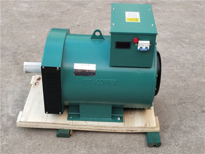 Giá Trị Công Suất <span class=keywords><strong>1kw</strong></span> <span class=keywords><strong>220V</strong></span> Nhỏ <span class=keywords><strong>Dynamo</strong></span> Tạo Ra Điện - Product Image 5