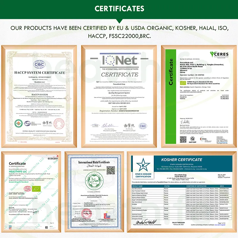 Healthife NOP & EU tabletas de Chlorella, polvo de Chlorella orgánica