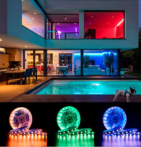 Striscia LED şerit DC12V 24V SMD5050 60leds Tiras LED renkli RGB + WW RGBW RGBW 4in1 esnek ışık şeridi Navidad De Navidad - Product Image 6