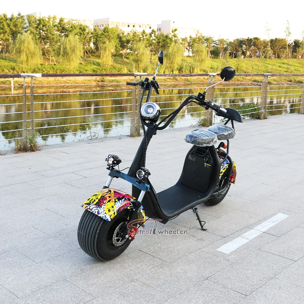 Holland Warehouse neuester Citycoco, elektroroller City Coco, gebrauchte elektrische 2-Rad-Scooter für Erwachsene zum Verkauf
