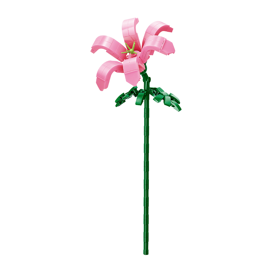 Lys rose