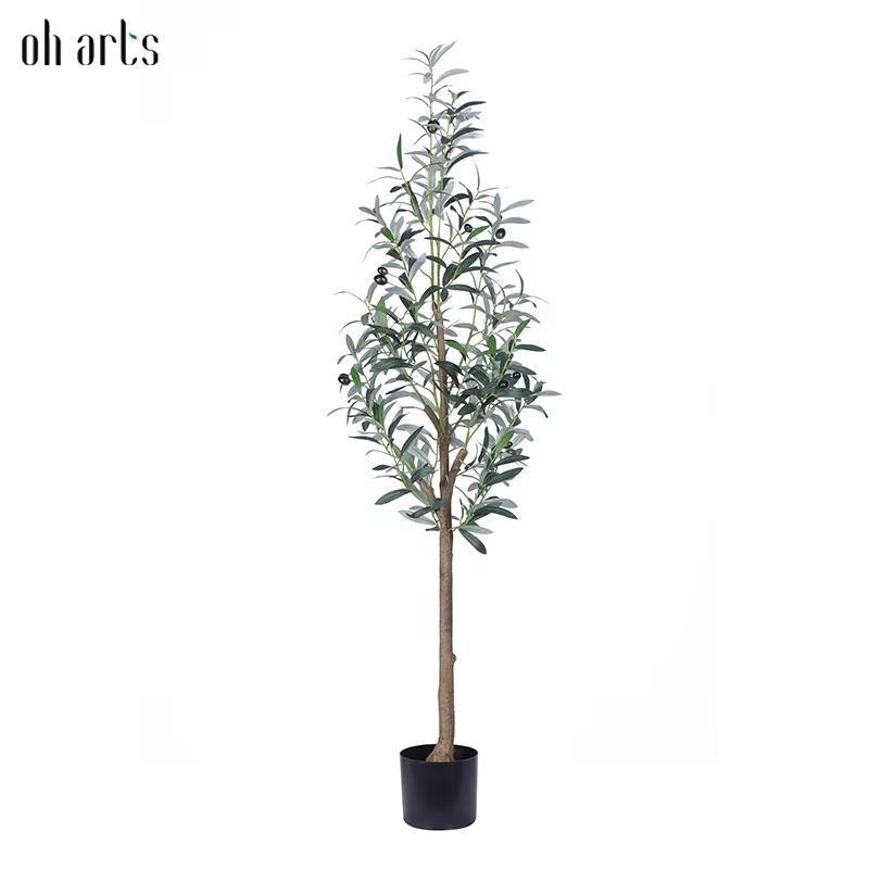 OH025063Vert