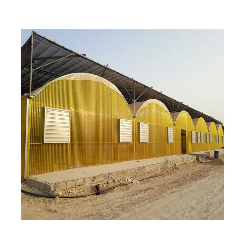 Invernadero 9,6 M span Multi-Span agrícola policarbonato amarillo invernadero de bajo costo para Rosa en Oriente Medio