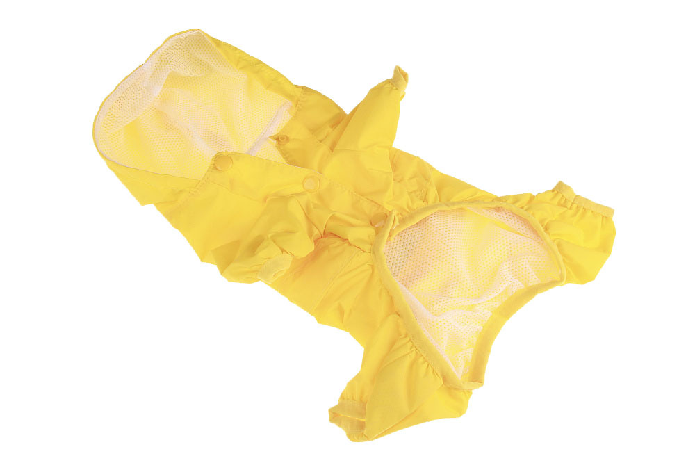 สีเหลือง