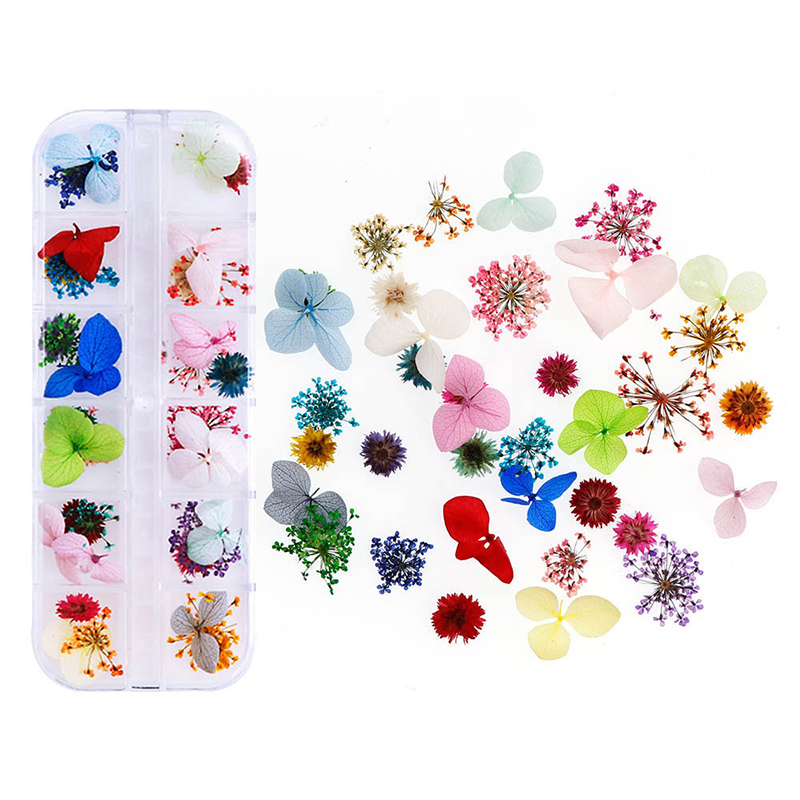 #6