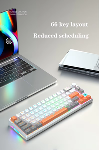 66 Key Gaming Gamer <strong>Desktop</strong> Mechanical <strong>Keyboard</strong> Wired Red Axis RGB <strong>Keypad</strong> Backlight USB Type C Optical Gaming <strong>Keyboard</strong> - Product Image 4