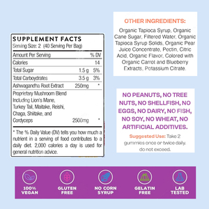 OEM Private Label Bio Vegan Pilze Tabletten Noo tropic Vitamine Ergänzung Löwen mähnen pilz Neugeborene - Product Image 3