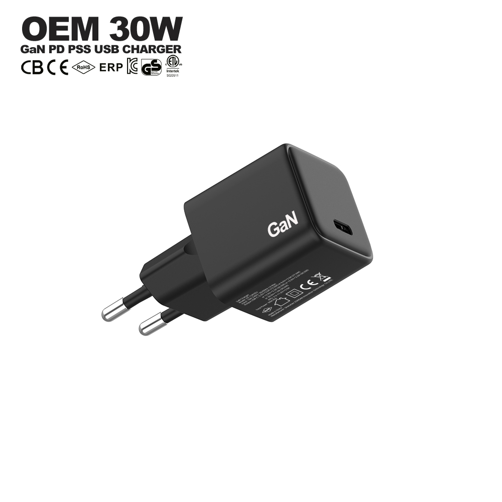 30w wall charger Black