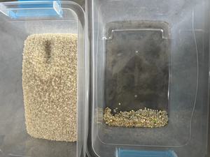 Clasificador de arroz AI de alto nivel, función de autoaprendizaje, máquina clasificadora de Color de granos de arroz, equipo de separación de Color de arroz - Product Image 3
