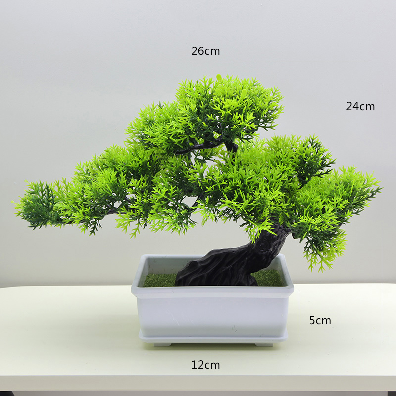 48 THuja Pino Verde