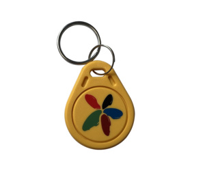 Program URL HF 13.56MHZ RFID Key Tags NFC Keychains QR <strong>Code</strong> Customized logo Access Control Rfid Key Fob T5577 Copyable Keyfobs - Product Image 4