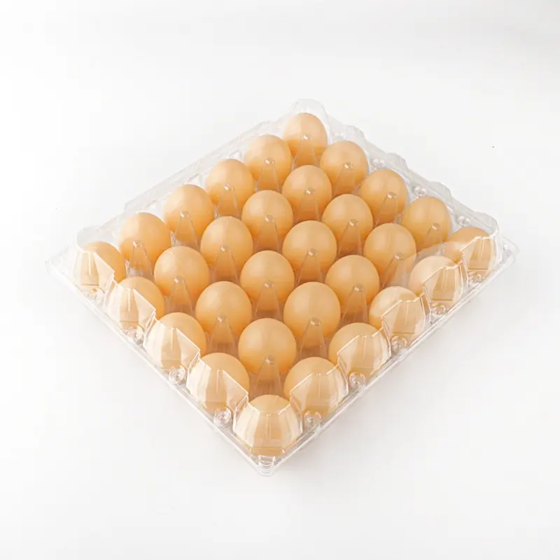 Hot Koop 30 Ei Plastic Bakjes Fabriek Groothandel Plastic Eierbak Met Hoes Voor Kamperen