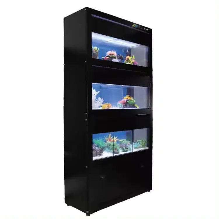 Support pour aquarium personnalisé Multiple Layer Three Layers Large Rimless Fish Tank Aquarium