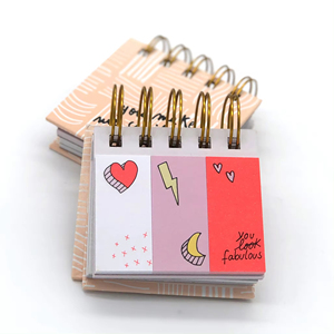 Bloc de notas adhesivas de bolsillo de tamaño pequeño personalizado, Bloc de notas de estudiante de alta calidad con anillo en espiral, Bloc de notas encuadernado con pegatina - Product Image 3