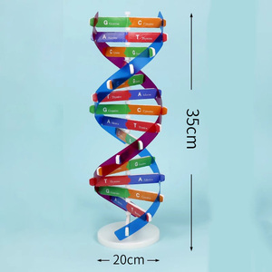 2025 yeni KRC yeni DIY insan genleri DNA modelleri çift sarmal bilim yaygınlaştırma çocuklar için öğretim yardımcıları bilim araçları Test kiti - Product Image 2