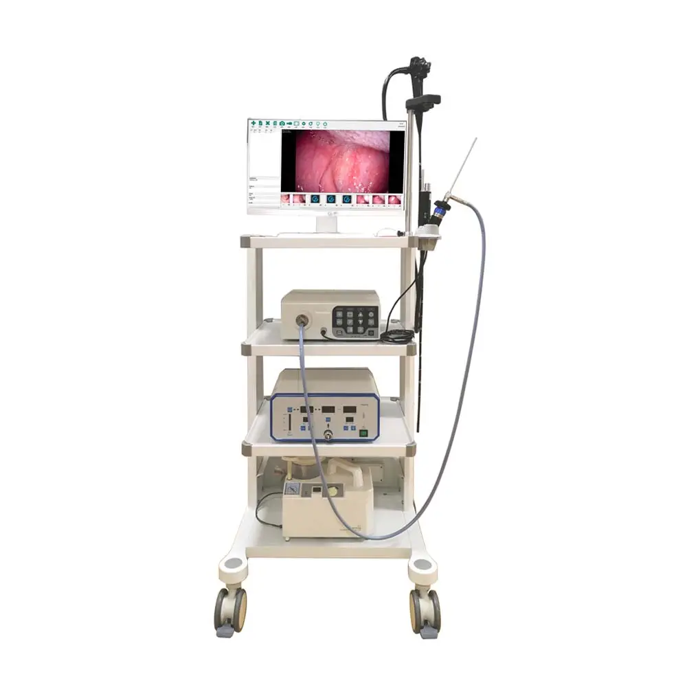Medical Equipment Surgical Instruments Gastroscopy Laparoscopy Hd Veterinary Endoscope Laparoscopy Cat Dog Cow Horse