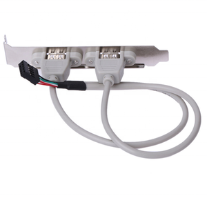 Cavo deflettore da 9pin a USB2.0 cavo di prolunga USB per scheda madre custodia Mini a 2 porte custodia piccola cavo deflettore USB a doppia porta - Product Image 4