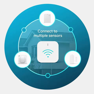Zigbee термостат шлюз сигнализация домашняя Автоматизация умный замок мини-замок tttlock toya шлюз 4g Smart look - Product Image 5