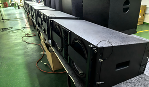 مكبرات صوت خطية مزدوجة 10 بوصة بقوة 700 واط و8 أوم، نظام صوتي سلبي احترافي للأداء العالي - Product Image 3