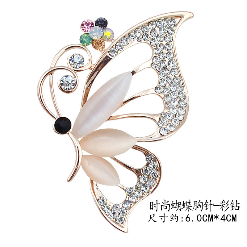 Papillon