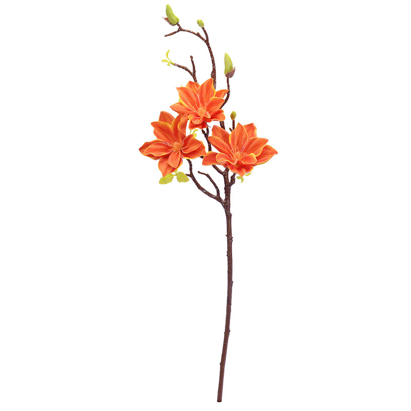 autumn orange