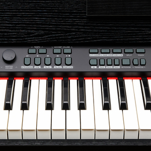 Precio personalizado Instrumentos musicales 88 teclas Pantalla LCD USB Midi Multifunción Teclado digital eléctrico Piano - Product Image 6