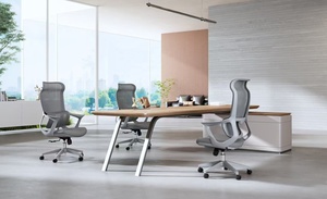 High Quality Office Furniture Mid Back Ergonomic Mesh Chair <strong>Double</strong> Back Chair With Adjust Function Armrest Free Sample Shipping - Product Image 3