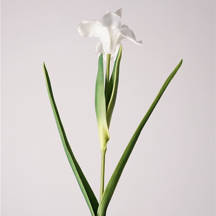 Feel pu small iris-white