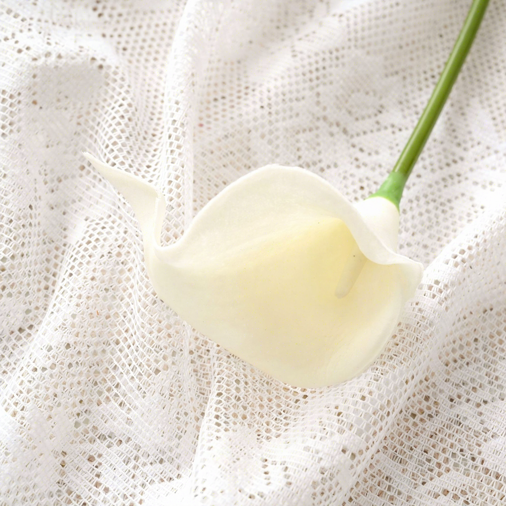 Blanco cremoso