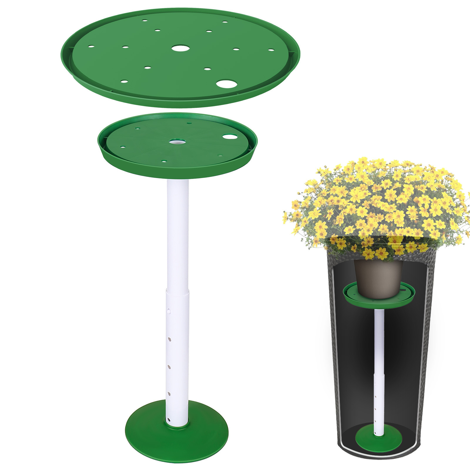 Vert